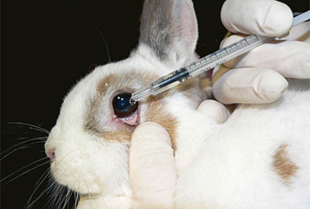 Foto von Ärzte gegen Tierversuche